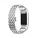 Libra Gemini Replacement Metal Fitbit Charge 2 Bands for Fitbit Charge 2 Watch