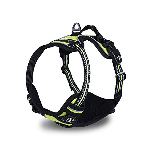 Eagloo Dog Harness No Pull, Walking Pet Harness with 2 Metal Rings and