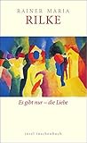 Es gibt nur &ndash; die Liebe: &Uuml;ber die Liebe (insel taschenbuch)