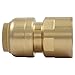 SharkBite 1/2 x 1/2 Inch FNPT Adapter, Pack of 4, Push To Connect Brass Plumbing Fitting, PEX Pipe, Copper, CPVC, PE-RT, HDPE, U072LFA4