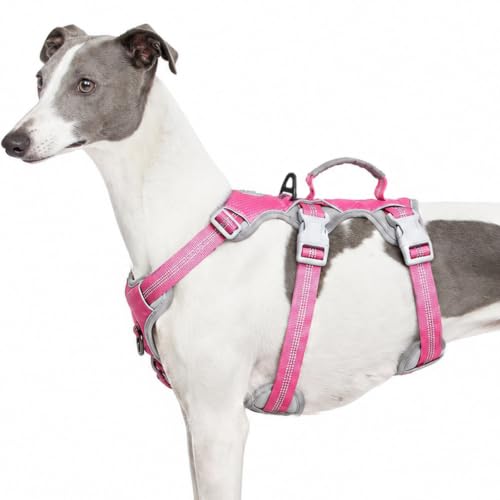 Huntboo Escape Proof Dog Harness