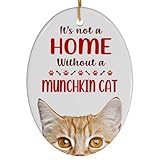 Red Munchkin Cat Christmas Ornament 2024 - Its Not