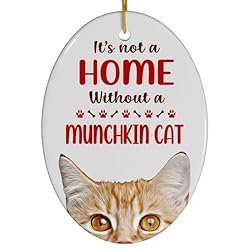 Red Munchkin Cat Christmas Ornament 2024 - Its Not
