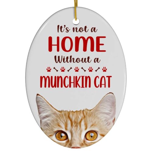 Red Munchkin Cat Christmas Ornament 2024 - Its Not