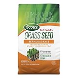 Scotts Turf Builder Grass Seed Bermudagrass