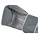 Title Boxing TITLE Limited Pro Style Leather Training Gloves, Grey/Silver, 16 oz