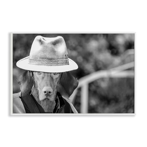 Stupell Industries Country Cowboy Dog Framed Giclee Art Design by Sd Graphics S…