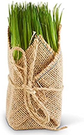 Small Grass in Burlap Sack Decorative Floral
