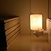 ANTEQI Natural Household Salt Lamp Himalayan Amber Glow Night Light [ Air Purifier, UL Wall Plug, 10.58 OZ ] Night Lamp for Home Office Bedroom Gift (Round Mini Lamp)