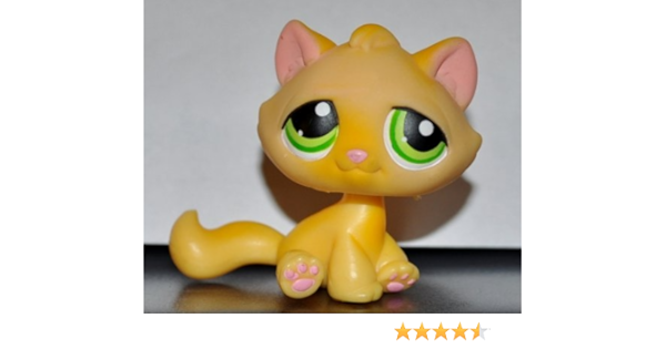 lps sitting down cat