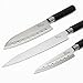3 Piece Kitchen Knife Set By Sharp Solutions Kitchenware, 7 Inch Santoku Chef Knife 8 Inch Carving Knife And 5 Inch Utility Knive Packaged in A Wooden Case With a Sharpener, The Ultimate Gift