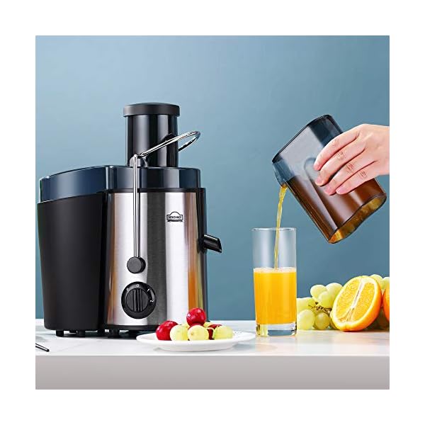 Juicer Machine,DEWINNER Stainless Steel Fruit and Vegetable Juice Extractor Fountain Cold Maker, Centrifugal Fountain with 2 Speed Settings, BPA-Free, Easy Clean Dishwasher Safe with Gift