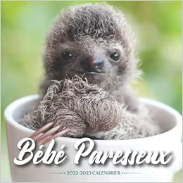 Calendrier 2023 Bébés Amazon.fr - Bébé Paresseux Calendrier: Calendrier 2022 2023 - 8.5''X8.5'' -  Cadeaux Pour La Famille Et Les Amis - Calendrier, Amenia - Livres
