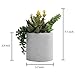 MyGift 7-Inch Artificial Succulent Plant Arrangement in Cement-Tone Planter