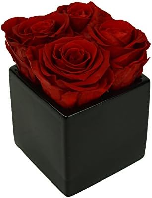 Luxe Bloom Home Collection 4 Fresh Cut Preserved Crimson Red Roses in 3" Black Ceramic Cube Vase Lasts 60 days