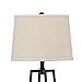 Catalina Lighting 19305-000 Modern Etagere Floor Lamp with Shelves, Standing Lamp, Living Room Light with Shelving, LED Bulb NOT Included, 58
