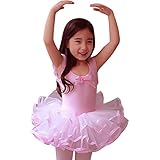 Little Girls' Gymnastic Ballet Leotard Dance Dress Tutu Skirt Party Costume 2-6T