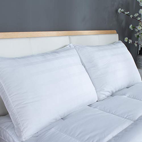 Down Alternative Pillows for Sleeping Plush (2 Pack Standard), 100