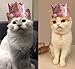 POSAPET Crown Dog Birthday Hat Girl Reusable Doggie Birthday Party Hat with Numbers Puppy Birthday Crown Hats for Dogs Cats Kitten Headband Hats Pink