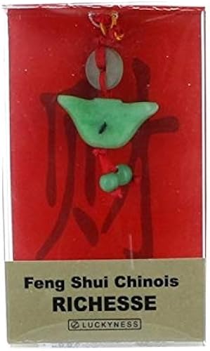 Download Porte-bonheur feng-shui jade grande richesse PDF