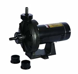 Amazon.com : Hayward 6060 0.75 HP Booster Pump : Swimming