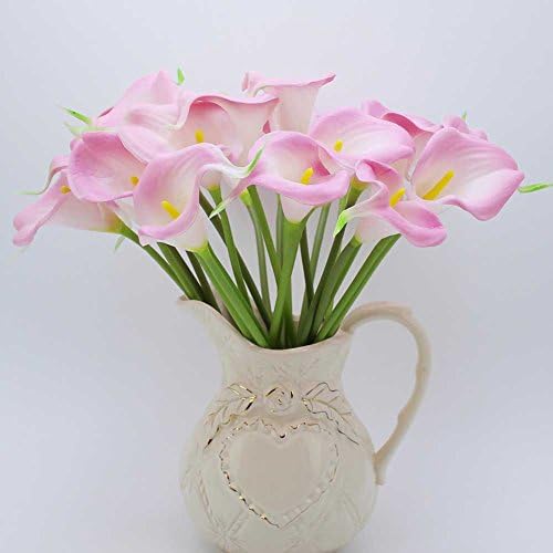 Jiacheng29 100Pcs Zantedeschia Calla Lily Seeds Bonsai Potted Planting Garden Flowers Decor