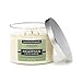 CANDLE-LITE Essential Elements 14-3/4-Ounce 3 Wick Candle with Soy Wax, Eucalyptus and Cucumber