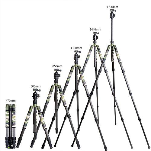 XILETU T284C+FB1 Carbon Fiber Tripod & Ball Head and Removable Monopod