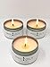 Scented Candles – Evergreen (Pack of 3) Soy Aromatherapy Candles, 8ozthumb 1