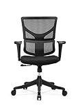 X-Chair X-Basic Task Chair, Black Flex Mesh