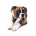 Nylabone Textured Knuckle Bone Power Chew Toy for Dogs, Durable & Tough Dog Toys for Aggressive Chewers, Chicken Flavor, X-Large - 50+ lbs, 1 Count