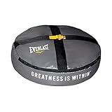 Everlast Double End Heavy Bag Anchor Punching Boxing Workout New