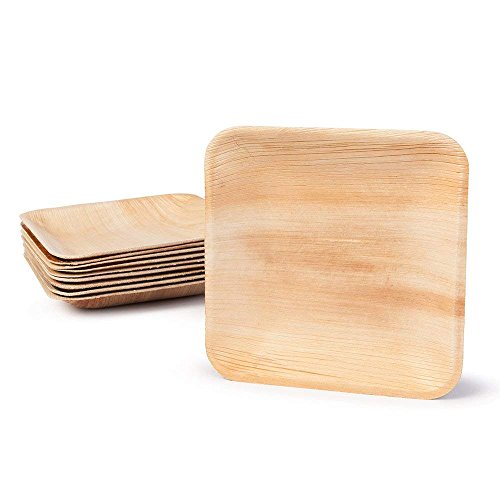 Large Palm Leaf Plates - Environmentally Disposable Tableware | 25 Pieces | Ø 10 Inches Square | Bamboo Style | Biodegradable & Compostable