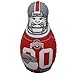 Flagpole To Go NCAA Ohio State Buckeyes Tackle Buddy