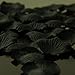 200pcs Silk Rose Petals Wedding Flowers Party Decorations