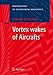 Vortex wakes of Aircrafts (Foundations of Engineering Mechanics)