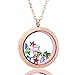 Zysta Rose Gold Round Locket Pendant Necklace 30mm Matte Stainless Steel Clear Glass Living Memory Floating Charms Stone Storage
