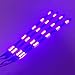 SOCAL-LED Purple 12