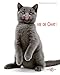 vie de chat ! by