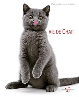 Amazon Com Vide De Chat French Edition Manferto De Fabianis Valeria Burton Jane Taylor Kim Books
