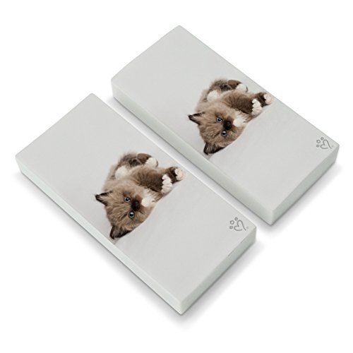 Miradoll Ragdoll Kitten Cat Brown Lazy Eraser Set of 2