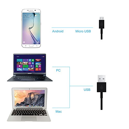 Endoscope program mac Endoscope program mac