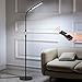 Albrillo Dimmable LED Floor Lamp with Remote Control and Timer, 1800lm Standing Light for Living Room Bedroom Office, 2-in-1 LED Reading Lamp, Black
