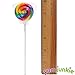 Swipple Pops Petite Swirl Ripple Lollipops - 60-Piece Tub (Rainbow)