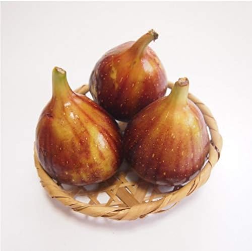 母の日 早割 フルーツ ギフト 完熟いちじく イチジク 大玉 2パック 無花果 化粧箱 いちじく 贈答用 予約 5月3日 8日のご納品