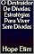 Livro O Destruidor De Dívidas: Estratégias Para Viver Sem Dívidas
