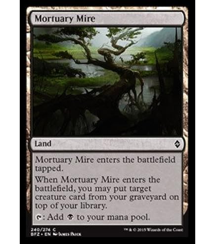 MTG Tropical  ① 91379_in_1000x1000.jpg