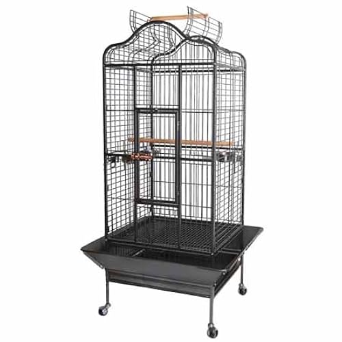 Sun Conure Cage: Amazon.com