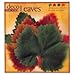 Pacific Merchants PAC7107 Grape Leaves Deco Parchment Leaves