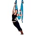 AGPtEK Deluxe Aerial Hammock Yoga Swing/ Inversion/Sling, Flying Antigravity - Blue